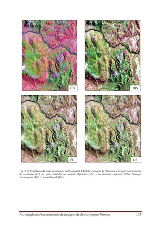 CN

IHS

PC

GS

Fig. 8.13 Resultados da fusão da imagem multiespectral ETM de resolução de 30m com a imagem pancromática
de resolução de 15m, pelos métodos no modelo algébrico (CN) e no domínio espectral (IHS), Principal
Componente (PC) e Gram-Schmidt (GS).

Introdução ao Processamento de Imagens de Sensoriameto Remoto

137

 