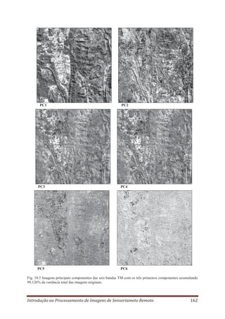PC1

PC2

PC3

PC4

PC5

PC6

Fig. 10.5 Imagens principais componentes das seis bandas TM com os três primeiros componentes acumulando
99,126% da variância total das imagens originais.

Introdução ao Processamento de Imagens de Sensoriameto Remoto

162

 