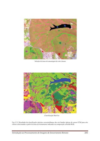 .
Seleção de áreas de amostrgem de oito classes

Classificação MaxVer

Fig.12.12 Resultado da classificação máxima verossimilhança das seis bandas ópticas do sensor ETM para oito
classes selecionadas a partir de áreas de treinamento indicadas na composição colorida RGB.

Introdução ao Processamento de Imagens de Sensoriameto Remoto

205

 
