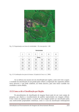 Fig. 13.4 Segmentação com limiar de similaridade = 50 e área (pixels) = 100.

Fig. 13.5 Combinações dos pares de limiares. (Copiado de Corte et al., 2008).

Ao se utilizar esse recurso em um classificador por regiões, como será visto a seguir,
o resultado da classificação irá em grande parte refletir a composição dos segmentos obtidos
nesse processo, o que pode colaborar, de forma decisiva, para uma maior exatidão nos
resultados a serem obtidos.

13.2 Como se dá a Classificação por Região
Os procedimentos de classificação de imagens fazem parte de um vasto campo de
pesquisas que objetiva o reconhecimento de padrões representados nas imagens orbitais.
Como vimos no capítulo anterior, os pixels de uma imagem podem ser classificados pelas
suas multivariadas propriedades estatísticas, como é o caso da classificação multiespectral
Introdução ao Processamento de Imagens de Sensoriameto Remoto

213

 