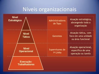 Níveis organizacionais
 