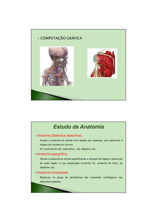 11/08/2010




      COMPUTAÇÃO GRÁFICA




                  Estudo da Anatomia
•   Anatomia Sistêmica (descritiva)
     Estuda a anatomia do animal com relação aos sistemas, com estruturas e
     órgãos com tarefas em comum.
     Ex: anatomia do sist. respiratório, sist. digestivo, etc.

• Anatomia topográfica
     Estuda a anatomia do animal especificando a situação de órgãos e estruturas
     de cada região, e sua cooperação funcional. Ex: anatomia do tórax, do
     abdômen, etc.

• Anatomia Comparada
     Baseia-se no grupo de semelhança dos caracteres morfológicos nas
     diferentes espécies.




                                                                                          10
 