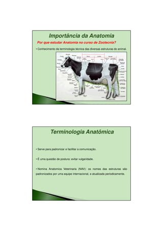 11/08/2010




          Importância da Anatomia
Por que estudar Anatomia no curso de Zootecnia?
• Conhecimento da terminologia técnica das diversas estruturas do animal.




           Terminologia Anatômica

• Serve para padronizar e facilitar a comunicação.


• É uma questão de postura: evitar vulgaridade.


• Nomina Anatomica Veterinaria (NAV): os nomes das estruturas são
padronizados por uma equipe internacional, e atualizada periodicamente.




                                                                                   14
 