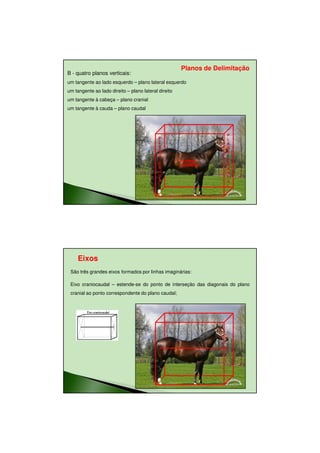 11/08/2010




                                                      Planos de Delimitação
B - quatro planos verticais:
um tangente ao lado esquerdo – plano lateral esquerdo
um tangente ao lado direito – plano lateral direito
um tangente à cabeça – plano cranial
um tangente à cauda – plano caudal




                                                                    P
                                            P                       L
                                            L                       A
                                            A                       N
                                            N                       O
                                            O
                                                      PLANOS        C
                                            C                       R
                                                      LATERAIS
                                            A                       A
                                            U                       N
                                            D                       I
                                            A                       A
                                            L                       L




     Eixos
 São três grandes eixos formados por linhas imaginárias:

 Eixo craniocaudal – estende-se do ponto de interseção das diagonais do plano
 cranial ao ponto correspondente do plano caudal;




                                                                                       19
 