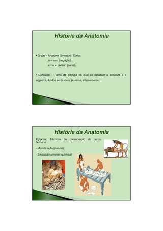 11/08/2010




                 História da Anatomia


• Grego – Anatome ( νατοµή Cortar.
                    νατοµή)
            a = sem (negação).
            tomo = divisão (parte).


• Definição – Ramo da biologia no qual se estudam a estrutura e a
organização dos seres vivos (externa, internamente).




                 História da Anatomia
Egípcios:    Técnicas    de   conservação   do   corpo
humano.

- Mumificação (natural)

- Embalsamamento (química)




                                                                            2
 