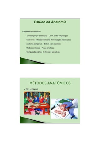 11/08/2010




              Estudo da Anatomia

• Métodos anatômicos:

   - Dissecação (ou dissecção) – Latim, cortar em pedaços.

   - Cadáveres – Método tradicional (formolização, plastinação).

   - Anatomia comparada – Estudo vária espécies

   - Modelos artificiais – Peças sintéticas.

   - Computação gráfica – Software e aplicativos.




   Dissecação




                                                                           7
 