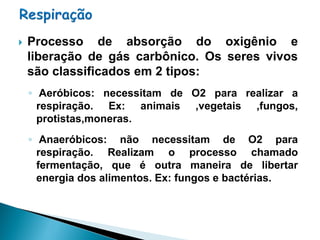    Processo de absorção do oxigênio e
    liberação de gás carbônico. Os seres vivos
    são classificados em 2 tipos:
    ◦ Aeróbicos: necessitam de O2 para realizar a
      respiração. Ex: animais ,vegetais ,fungos,
      protistas,moneras.
    ◦ Anaeróbicos: não necessitam de O2 para
      respiração. Realizam o processo chamado
      fermentação, que é outra maneira de libertar
      energia dos alimentos. Ex: fungos e bactérias.
 