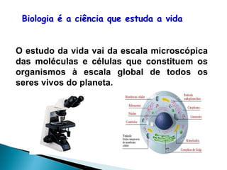 Biologia é a ciência que estuda a vida


O estudo da vida vai da escala microscópica
das moléculas e células que constituem os
organismos à escala global de todos os
seres vivos do planeta.
 