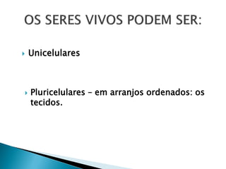    Unicelulares



   Pluricelulares – em arranjos ordenados: os
    tecidos.
 