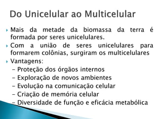    Mais da metade da biomassa da terra é
    formada por seres unicelulares.
   Com a união de seres unicelulares para
    formarem colônias, surgiram os multicelulares
   Vantagens:
     - Proteção dos órgãos internos
     - Exploração de novos ambientes
     - Evolução na comunicação celular
     - Criação de memória celular
     - Diversidade de função e eficácia metabólica
 