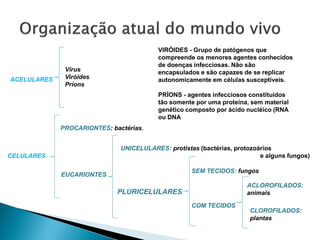 VIRÓIDES - Grupo de patógenos que
                                         compreende os menores agentes conhecidos
                                         de doenças infecciosas. Não são
              Vírus                      encapsulados e são capazes de se replicar
ACELULARES    Viróides                   autonomicamente em células susceptíveis.
              Príons
                                         PRÍONS - agentes infecciosos constituídos
                                         tão somente por uma proteína, sem material
                                         genético composto por ácido nucléico (RNA
                                         ou DNA
             PROCARIONTES: bactérias.


                              UNICELULARES: protistas (bactérias, protozoários
CELULARES                                                                 e alguns fungos)

                                                    SEM TECIDOS: fungos
             EUCARIONTES
                                                                      ACLOROFILADOS:
                             PLURICELULARES                           animais

                                                    COM TECIDOS
                                                                       CLOROFILADOS:
                                                                       plantas
 