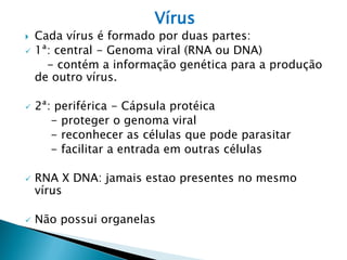 Vírus
   Cada vírus é formado por duas partes:
   1ª: central - Genoma viral (RNA ou DNA)
      - contém a informação genética para a produção
    de outro vírus.

   2ª: periférica - Cápsula protéica
       - proteger o genoma viral
       - reconhecer as células que pode parasitar
       - facilitar a entrada em outras células

   RNA X DNA: jamais estao presentes no mesmo
    vírus

   Não possui organelas
 