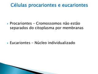 Células procariontes e eucariontes


   Procariontes – Cromossomos não estão
    separados do citoplasma por membranas



   Eucariontes – Núcleo individualizado
 