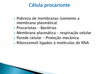 Célula procarionte

   Pobreza de membranas (somente a
    membrana plasmática)
   Procariotas – Bactérias
   Membrana plasmática – respiração celular
   Parede celular – Proteção mecânica
   RibossomoS ligados à moléculas de RNA
 