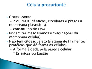 Célula procarionte

   Cromossomo
    - 2 ou mais idênticos, circulares e presos a
    membrana plasmática.
    - constituido de DNA.
   Podem ter mesossomos (invaginações da
    membrana celular)
   Não tem citoesqueleto (sistema de filamentos
    protéicos que dá forma às células)
    - A forma é dada pela parede celular
      * Esféricas ou bastão
 