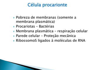 Introduçao biologia celular