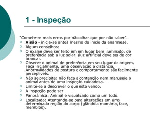 1 - Inspeção
“Comete-se mais erros por não olhar que por não saber”.
 Visão - inicia-se antes mesmo do inicio da anamnese.
 Alguns conselhos:
 O exame deve ser feito em um lugar bem iluminado, de
preferência sob a luz solar. (luz artificial deve ser de cor
branca).
 Observe o animal de preferência em seu lugar de origem.
Faça inicialmente, uma observação a distância.
Anormalidades de postura e comportamento são facilmente
perceptíveis.
 Não se precipite: não faça a contenção nem manuseie o
animal antes de uma inspeção cuidadosa.
 Limite-se a descrever o que esta vendo.
 A inspeção pode ser
 Panorâmica: Animal é visualizado como um todo.
 Localizada: Atentando-se para alterações em uma
determinada região do corpo (glândula mamária, face,
membros).
 