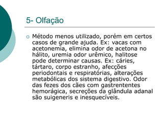 5- Olfação
 Método menos utilizado, porém em certos
casos de grande ajuda. Ex: vacas com
acetonemia, elimina odor de acetona no
hálito, uremia odor urêmico, halitose
pode determinar causas. Ex: cáries,
tártaro, corpo estranho, afecções
periodontais e respiratórias, alterações
metabólicas dos sistema digestivo. Odor
das fezes dos cães com gastrententes
hemorágica, secreções da glândula adanal
são suigeneris e inesquecíveis.
 