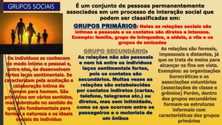 Introdução ao Estudo do Indivíduo nos Grupos | PPT