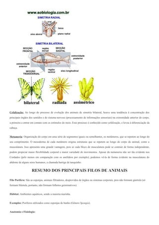 Cefalização: Ao longo do processo de evolução dos animais de simetria bilateral, houve uma tendência à concentração dos
principais órgãos dos sentidos e do sistema nervoso (processamento de informações sensoriais) na extremidade anterior do corpo,
a primeira a entrar em contato com os estímulos do meio. Esse processo é conhecido como cefalização, e levou à diferenciação da
cabeça.


Metameria: Organização do corpo em uma série de segmentos iguais ou semelhantes, os metâmeros, que se repetem ao longo do
seu comprimento. O mesoderma de cada metâmero origina estruturas que se repetem ao longo do corpo do animal, como a
musculatura. Isso apresenta uma grande vantagem, pois se cada bloco de musculatura pode se contrair de forma independente,
podem propiciar maior flexibilidade corporal e maior variedade de movimentos. Apesar da metameria não ser tão evidente nos
Cordados (pelo menos em comparação com os anelídeos por exemplo), podemos vê-la de forma evidente na musculatura do
abdome de alguns seres humanos, a chamada barriga de tanquinho:


                    RESUMO DOS PRINCIPAIS FILOS DE ANIMAIS

Filo Porifera: São as esponjas, animais filtradores, desprovidos de órgãos ou sistemas corporais, pois não formam gástrula (só
formam blástula, portanto, não formam folhetos germinativos).


Hábitat: Ambientes aquáticos, sendo a maioria marinha.


Exemplos: Poríferos utilizados como esponjas de banho (Gênero Spongia).


Anatomia e Fisiologia:
 