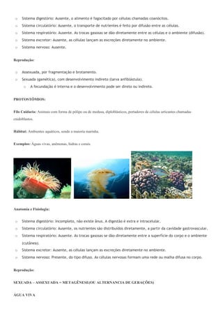 o   Sistema digestório: Ausente, o alimento é fagocitado por células chamadas coanócitos.
 o   Sistema circulatório: Ausente, o transporte de nutrientes é feito por difusão entre as células.
 o   Sistema respiratório: Ausente. As trocas gasosas se dão diretamente entre as células e o ambiente (difusão).
 o   Sistema excretor: Ausente, as células lançam as excreções diretamente no ambiente.
 o   Sistema nervoso: Ausente.


Reprodução:


 o   Assexuada, por fragmentação e brotamento.
 o   Sexuada (gamética), com desenvolvimento indireto (larva anfiblástula).
      o    A fecundação é interna e o desenvolvimento pode ser direto ou indireto.


PROTOSTÔMIOS:


Filo Cnidaria: Animais com forma de pólipo ou de medusa, diploblásticos, portadores de células urticantes chamadas
cnidoblastos.


Hábitat: Ambientes aquáticos, sendo a maioria marinha.


Exemplos: Águas vivas, anêmonas, hidras e corais.




Anatomia e Fisiologia:


 o   Sistema digestório: Incompleto, não existe ânus. A digestão é extra e intracelular.
 o   Sistema circulatório: Ausente, os nutrientes são distribuídos diretamente, a partir da cavidade gastrovascular.
 o   Sistema respiratório: Ausente. As trocas gasosas se dão diretamente entre a superfície do corpo e o ambiente

     (cutânea).
 o   Sistema excretor: Ausente, as células lançam as excreções diretamente no ambiente.
 o   Sistema nervoso: Presente, do tipo difuso. As células nervosas formam uma rede ou malha difusa no corpo.


Reprodução:


SEXUADA – ASSEXUADA = METAGÊNESE(OU ALTERNANCIA DE GERAÇÕES)


ÁGUA VIVA
 