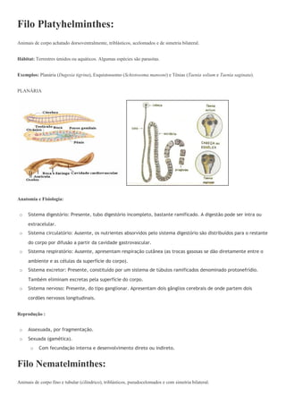 Filo Platyhelminthes:
Animais de corpo achatado dorsoventralmente, triblásticos, acelomados e de simetria bilateral.


Hábitat: Terrestres úmidos ou aquáticos. Algumas espécies são parasitas.


Exemplos: Planária (Dugesia tigrina), Esquistossomo (Schistosoma mansoni) e Tênias (Taenia solium e Taenia saginata).


PLANÁRIA




Anatomia e Fisiologia:


 o   Sistema digestório: Presente, tubo digestório incompleto, bastante ramificado. A digestão pode ser intra ou

     extracelular.
 o   Sistema circulatório: Ausente, os nutrientes absorvidos pelo sistema digestório são distribuídos para o restante

     do corpo por difusão a partir da cavidade gastrovascular.
 o   Sistema respiratório: Ausente, apresentam respiração cutânea (as trocas gasosas se dão diretamente entre o

     ambiente e as células da superfície do corpo).
 o   Sistema excretor: Presente, constituído por um sistema de túbulos ramificados denominado protonefrídio.

     Também eliminam excretas pela superfície do corpo.
 o   Sistema nervoso: Presente, do tipo ganglionar. Apresentam dois gânglios cerebrais de onde partem dois

     cordões nervosos longitudinais.


Reprodução :


 o   Assexuada, por fragmentação.
 o   Sexuada (gamética).
      o    Com fecundação interna e desenvolvimento direto ou indireto.


Filo Nematelminthes:
Animais de corpo fino e tubular (cilíndrico), triblásticos, pseudocelomados e com simetria bilateral.
 