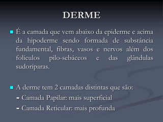 DERME
 É a camada que vem abaixo da epiderme e acima
da hipoderme sendo formada de substância
fundamental, fibras, vasos e nervos além dos
folículos pilo-sebáceos e das glândulas
sudoríparas.
 A derme tem 2 camadas distintas que são:
 Camada Papilar: mais superficial
 Camada Reticular: mais profunda
 