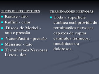 TIPOS DE RECEPTORES
 Krause - frio
 Ruffini - calor
 Discos de Merkel -
tato e pressão
 Vater-Pacini - pressão
 Meissner - tato
 Terminações Nervosas
Livres - dor
TERMINAÇÕES NERVOSAS
 Toda a superfície
cutânea está provida de
terminações nervosas
capazes de captar
estímulos térmicos,
mecânicos ou
dolorosos.
 