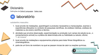 INTRODUÇÃO
1
 