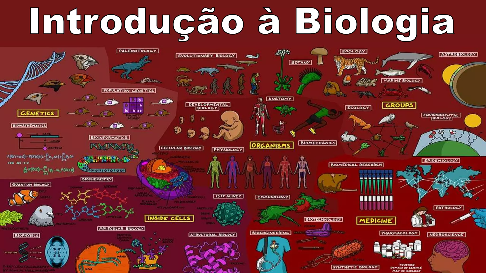 introducao-a-biologia.pptx
