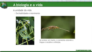 • Excitabilidade e movimento
Ao avistar um inseto, o camaleão estende a
língua e recolhe a refeição.
A unidade da vida
A biologia e a vida
 