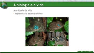 • Reprodução e desenvolvimento
A unidade da vida
A biologia e a vida
 