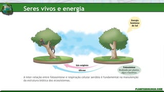 A inter-relação entre fotossíntese e respiração celular aeróbia é fundamental na manutenção
da estrutura biótica dos ecossistemas.
Seres vivos e energia
 