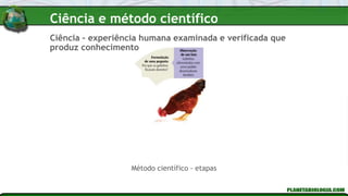 Ciência – experiência humana examinada e verificada que
produz conhecimento
Método científico - etapas
Ciência e método científico
 