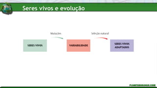 Seres vivos e evolução
 