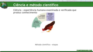 Ciência – experiência humana examinada e verificada que
produz conhecimento
Método científico - etapas
Ciência e método científico
 