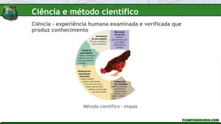 Ciência – experiência humana examinada e verificada que
produz conhecimento
Método científico - etapas
Ciência e método científico
 
