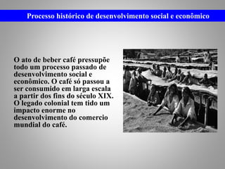 O ato de beber café pressupõe
todo um processo passado de
desenvolvimento social e
econômico. O café só passou a
ser consumido em larga escala
a partir dos fins do século XIX.
O legado colonial tem tido um
impacto enorme no
desenvolvimento do comercio
mundial do café.
Processo histórico de desenvolvimento social e econômico
 