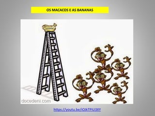 OS MACACOS E AS BANANAS
https://youtu.be/iOJkTPiU3XY
 