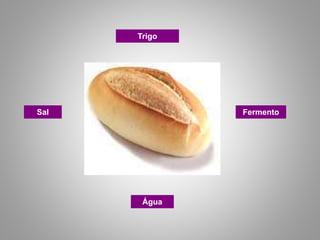 Trigo
Sal
Água
Fermento
 