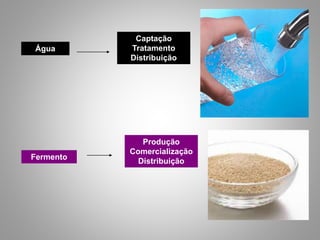 Água
Fermento
Captação
Tratamento
Distribuição
Produção
Comercialização
Distribuição
 