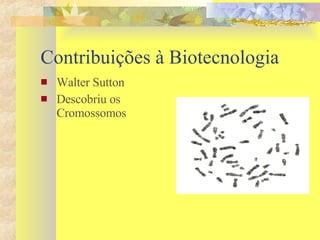 Contribuições à Biotecnologia Walter Sutton Descobriu os Cromossomos 