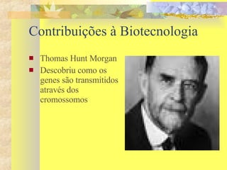 Contribuições à Biotecnologia Thomas Hunt Morgan Descobriu como os genes são transmitidos através dos cromossomos 