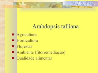 Arabdopsis talliana Agricultura Horticultura Florestas Ambiente (fitorremediação) Qualidade alimentar  