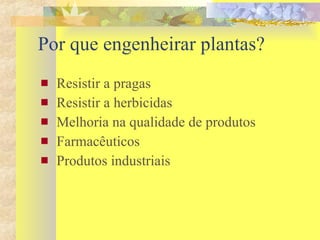 Por que engenheirar plantas? Resistir a pragas Resistir a herbicidas Melhoria na qualidade de produtos Farmacêuticos Produtos industriais 