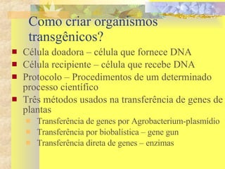 Como criar organismos transgênicos? Célula doadora – célula que fornece DNA Célula recipiente – célula que recebe DNA Protocolo – Procedimentos de um determinado processo científico Três métodos usados na transferência de genes de plantas Transferência de genes por Agrobacterium-plasmídio Transferência por biobalística – gene gun Transferência direta de genes – enzimas  