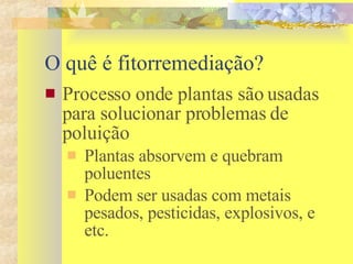 O quê é fitorremediação? Processo onde plantas são usadas para solucionar problemas de poluição Plantas absorvem e quebram poluentes Podem ser usadas com metais pesados, pesticidas, explosivos, e etc. 