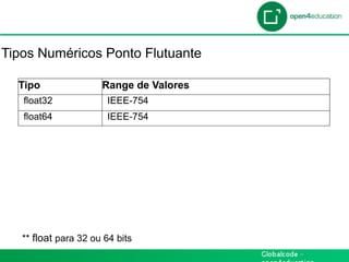 Introdução

Tipos Numéricos Ponto Flutuante

  Tipo                Range de Valores
   float32             IEEE-754
   float64             IEEE-754




   ** float para 32 ou 64 bits
 