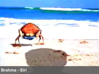 Brahma - Siri 