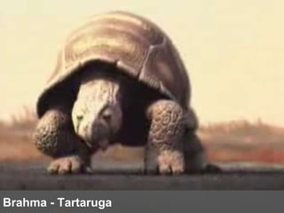 Brahma - Tartaruga 